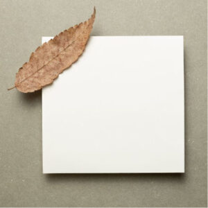Ein weißes Blatt Papier in quadratischer Form mit Laubblatt